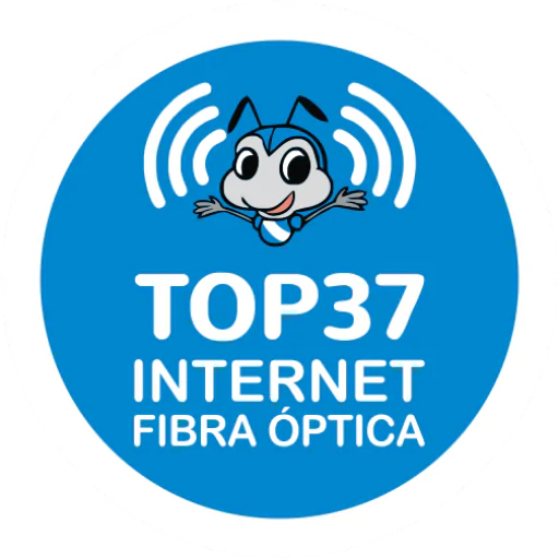 Logo Top 37